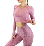 2 Pieces Long Sleeves Gym Suit Yoga Seamless Leggings Crop Top Set